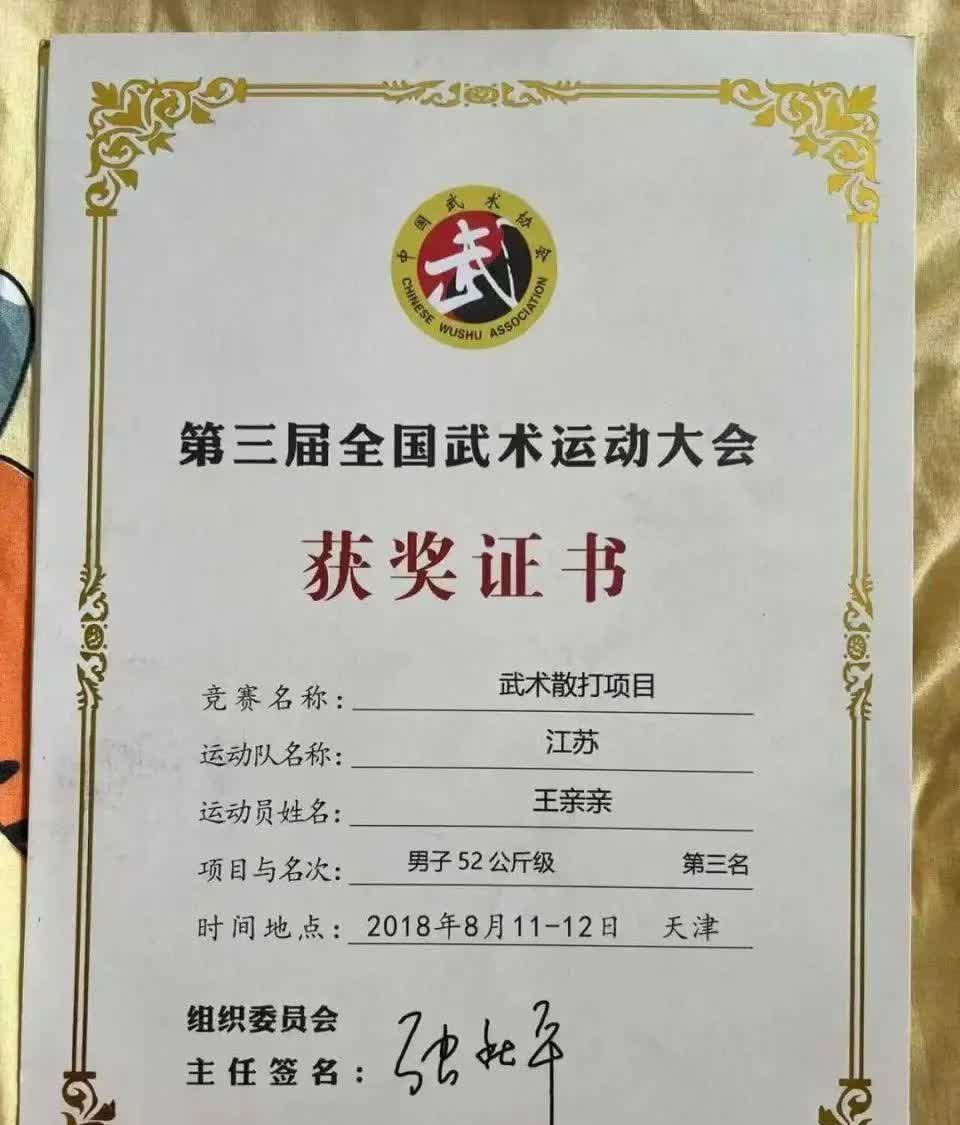 武术选手招招致命,技压群雄夺得金牌!,气势如虹 武术选手招招致命,技压群雄夺得金牌!,气势如虹