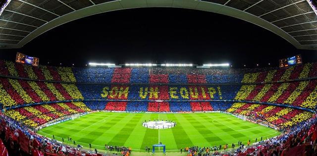 英格兰队连战皆捷观众为之疯狂，战绩斐然