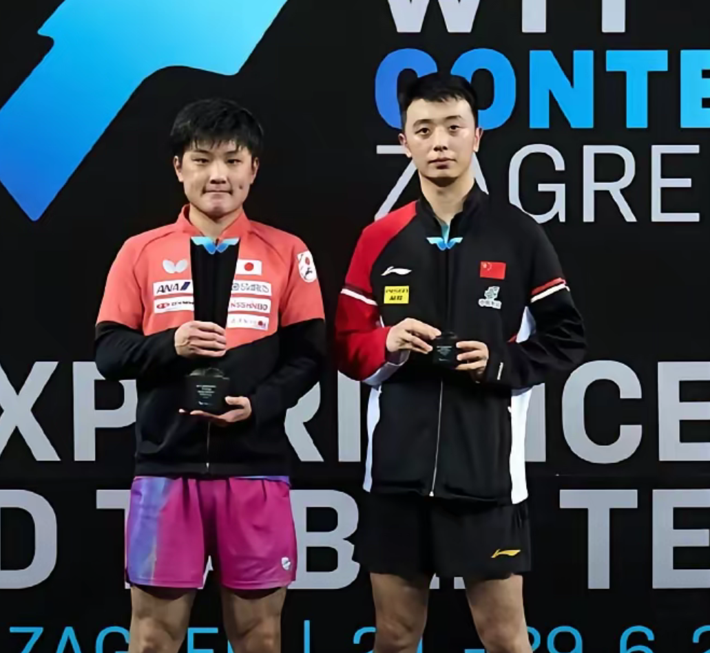 德国队力克波兰队，张本智和惊艳四座的简单介绍