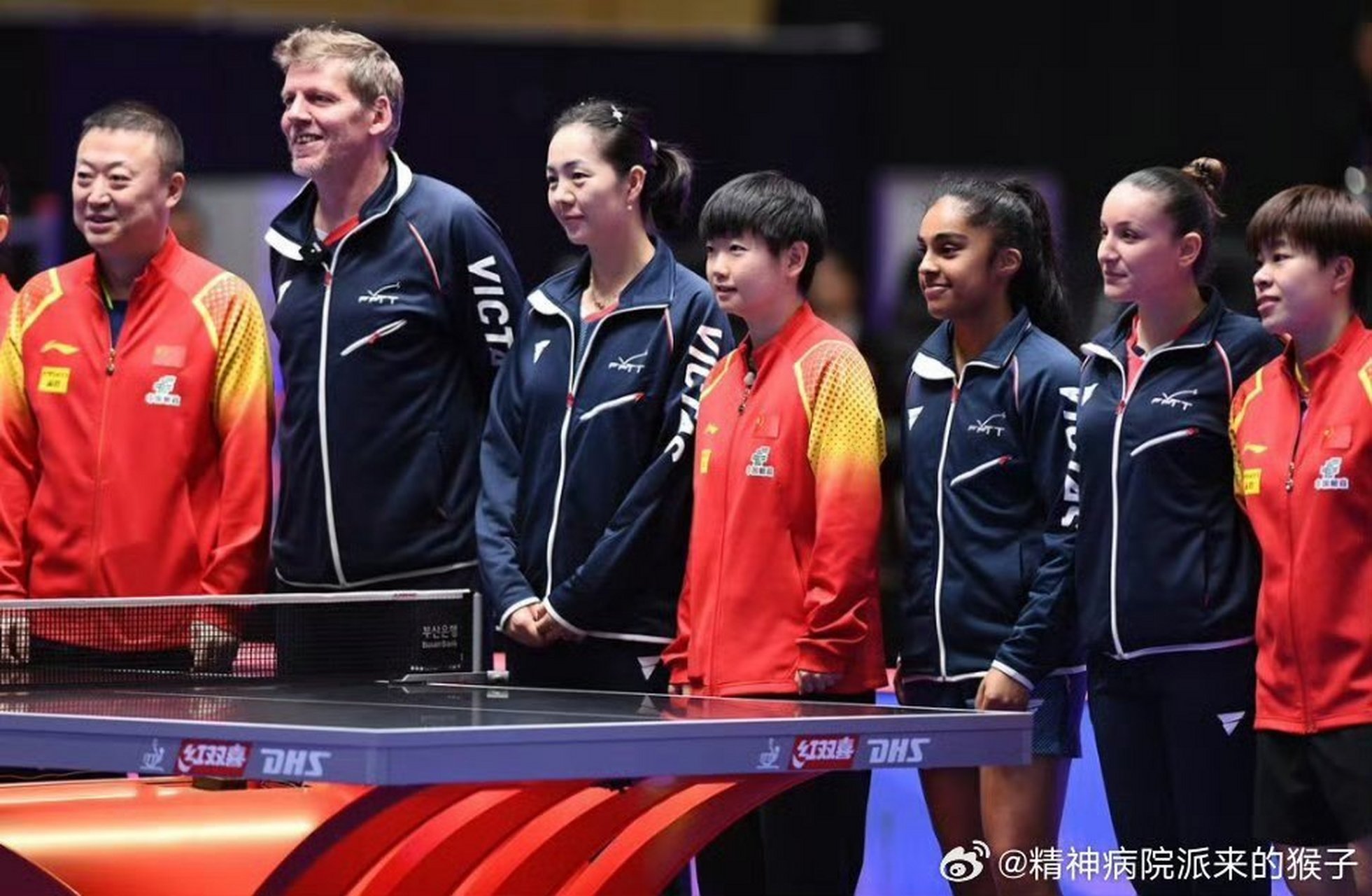 法国队逆转日本队,马琳惊艳四座 法国队逆转日本队,马琳惊艳四座